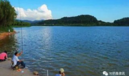 91捕鱼可以直播捕鱼吗,畅享捕鱼乐趣新体验